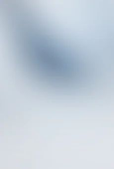 Wódka Soplica Szlachetna 0,5l 40% widok tła