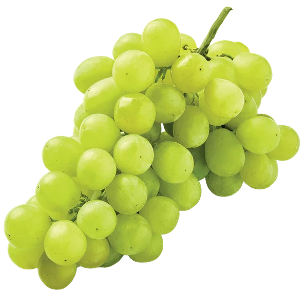 Winogrono jasne kg widok 1