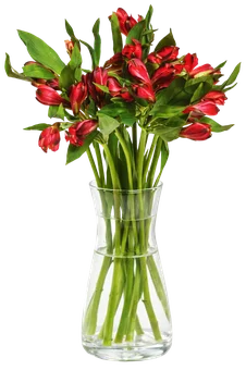 Kwiat bukiet Alstromeria 7szt widok główny