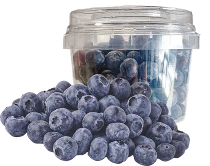 Borówka Amerykańska 300g szt widok główny 