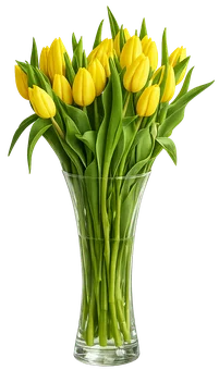 Kwiat bukiet Tulipan 21szt widok 1