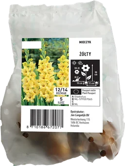 Cebula kwiatowa Mieczyk żółty 5szt widok 1