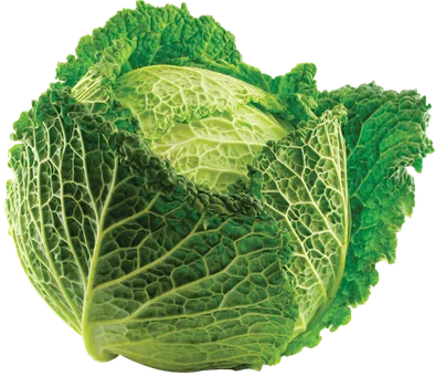 Kapusta włoska kg widok 1