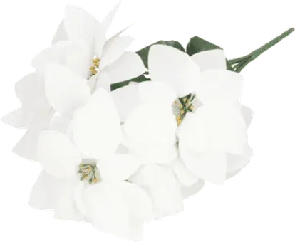 Bukiet gwiazda betlejemska 7 główek biała BN25 widok 1