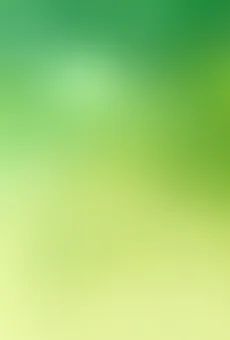 Piwo Warka jasne pełne 0,5l 5,2% but. zw. widok tła