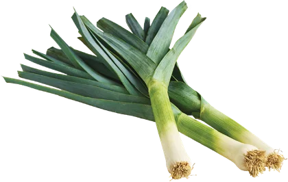 Por szt widok główny 