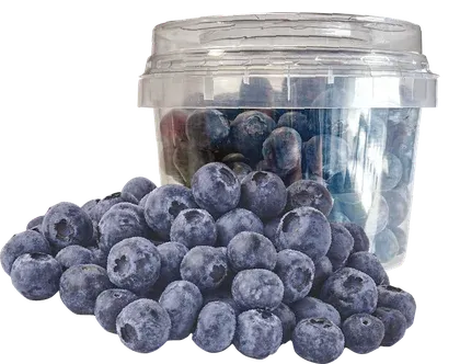 Borówka Amerykańska widok 1