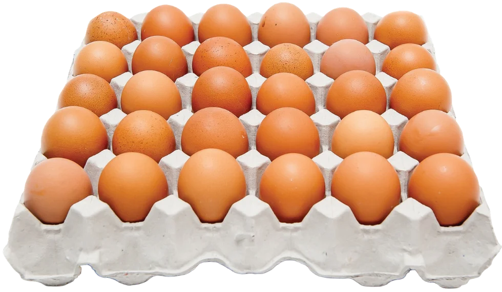 Zdjęcie produktu - Jaja świeże ściółkowe