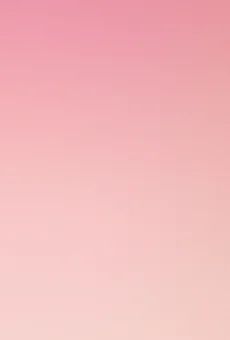 Kwiat Hibiskus don 13cm szt widok tła