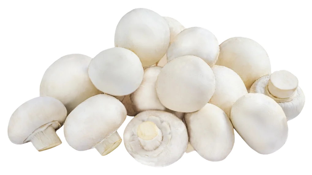 Pieczarka kg widok 1