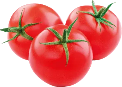 Pomidor kg widok główny 