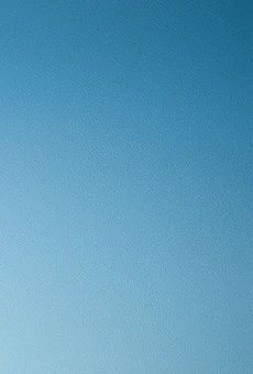 Ogórki konserwowe Luksusowe Dawtona 900/470g widok tła