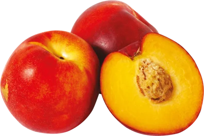 Nektarynka kg widok główny 