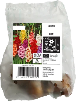 Cebula kwiatowa Mieczyk mix 5szt widok 1