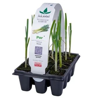 Rozsada Por 12-pak szt widok 1