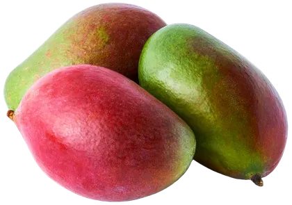 Mango kg widok 1