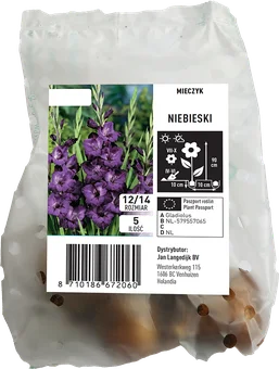 Cebula kwiatowa Mieczyk niebieski 5szt widok 1