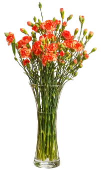 Kwiat bukiet Goździk 10szt widok 1