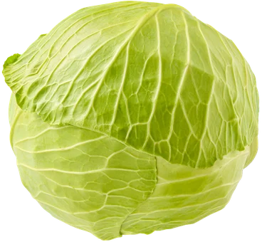 Kapusta biała kg widok główny 