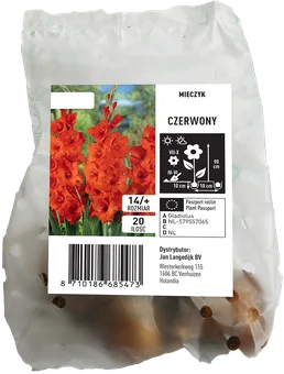 Cebula kwiatowa Mieczyk Czerwony 20szt widok 1