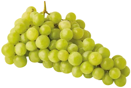 Winogrono jasne widok 1
