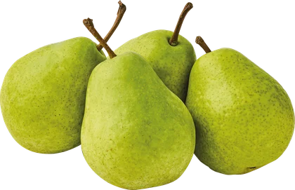 Gruszka kg widok główny