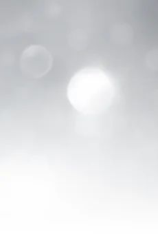 Wódka Jarzębiak czysty luksus 0,5l 40% widok tła