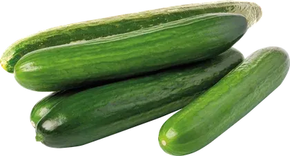 Ogórek zielony widok 1