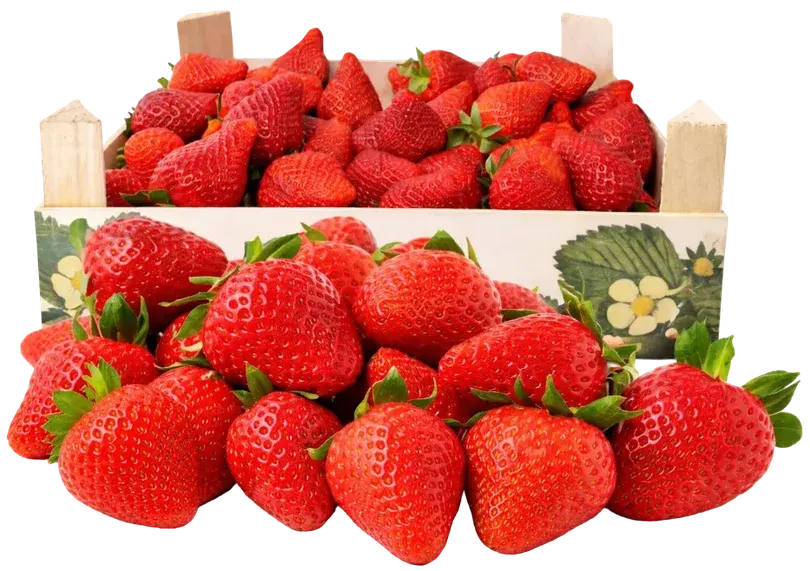 Zdjęcie produktu - Truskawka