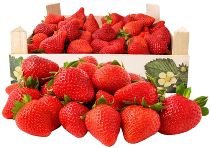 Zdjęcie produktu - Truskawka