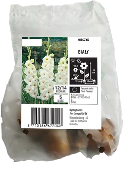Cebula kwiatowa Mieczyk biały 5szt widok 1