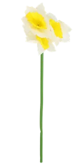Kwiat sztuczny narcyz 42cm WN26 widok główny 