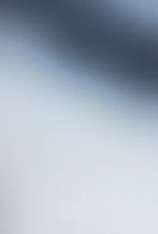 Wódka Biały Bocian 0,5l 40% widok tła