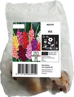 Cebula kwiatowa Mieczyk mix 20szt widok 1