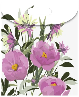 Zdjęcie produktu - Torba ozdobna extra z rzepem 26x32x12cm