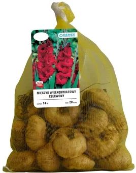 Cebula kwiatowa mieczyk wielkokwiat.czerwony 20szt widok 1