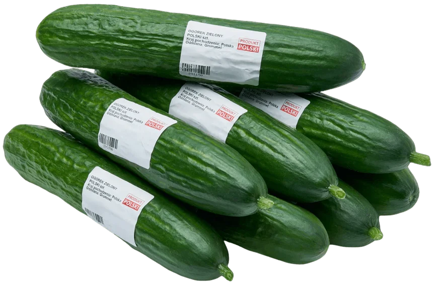 Ogórek zielony Polski szt widok 2