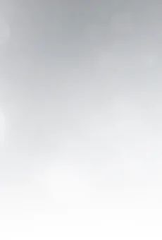 Wódka Stock Prestige 1l 40% widok tła