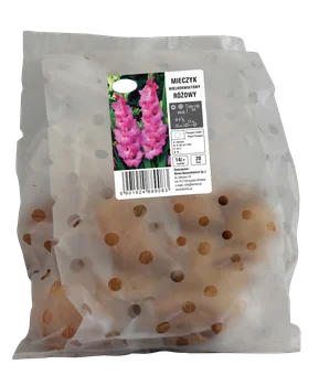 Cebula kwiatowa Mieczyk wielkokwiat. różowy 20szt widok 1