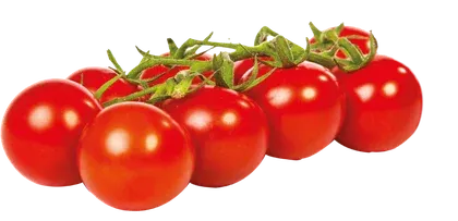 Pomidor cherry widok 1