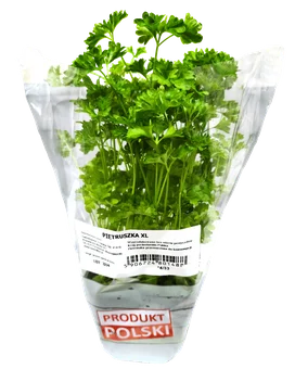 Zioła XL widok główny 