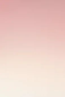 Kwiat Storczyk 2-pęd don 12cm szt widok tła