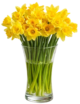 Zdjęcie produktu - Kwiat bukiet żonkil 20szt