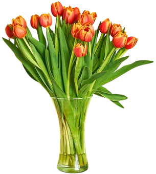 Kwiat bukiet Tulipan 21szt widok główny