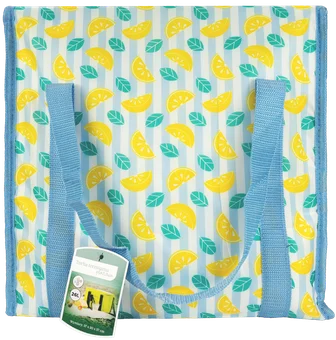 Torba termiczna plażowa 37x20x37cm widok 1