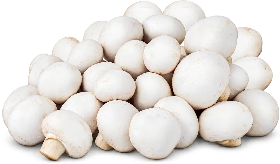 Pieczarka kg widok 1