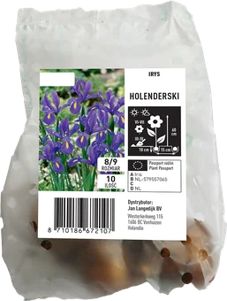 Cebula kwiatowa Irys Holenderski 10szt widok 1