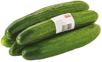 Ogórek zielony Polski szt widok główny 