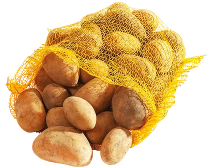 Ziemniaki jadalne widok 1