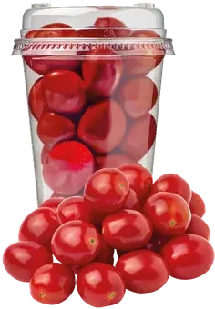 Pomidor daktylowy widok 1